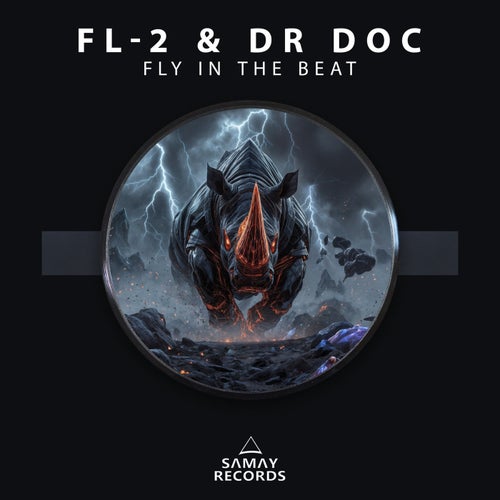 Fly In The Beat
