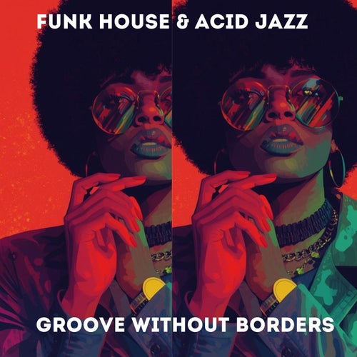 Funk House & Acid Jazz - Groove Without Borders