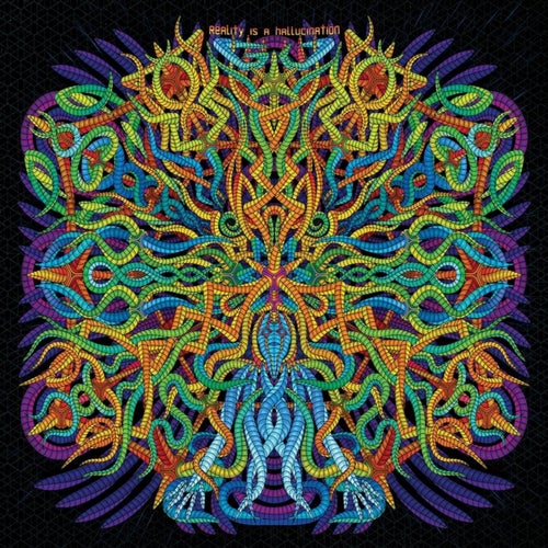 Reality Is A Hallucination