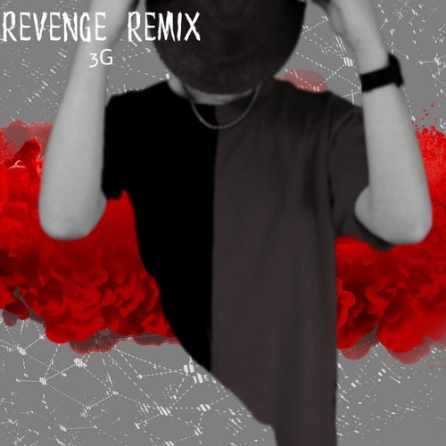 Revenge (Remix)