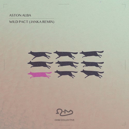 Wild Pact JANKA Remix