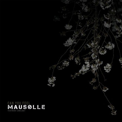 Can You Feel