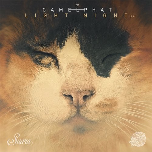 Cover art for Light Night EP