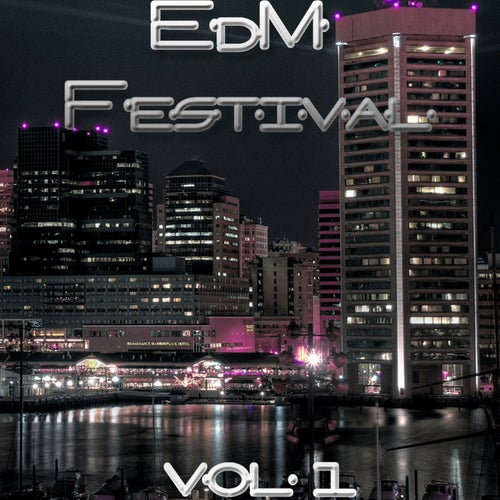 EDM Festival, Vol. 1