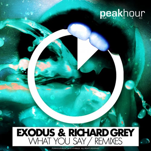 What You Say Remixes