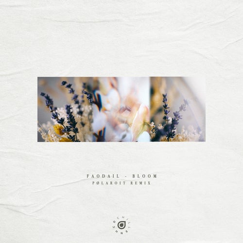 Cover art for Bloom (pølaroit Remix)