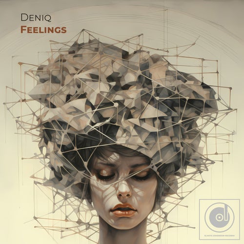  Deniq - Feelings (2024) 