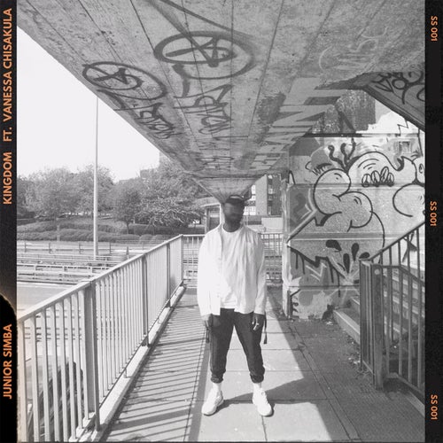 Cover art for Kingdom (feat. Vanessa Chisakula)