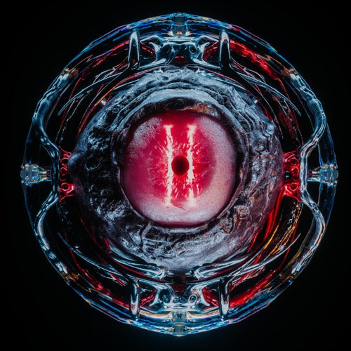 VOYD Vol. 2.5