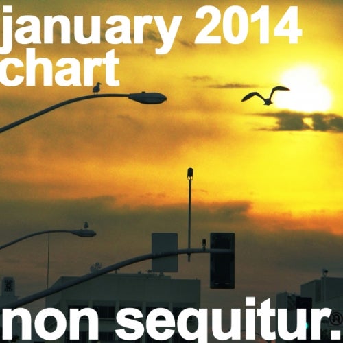 Non Sequichart January 2014
