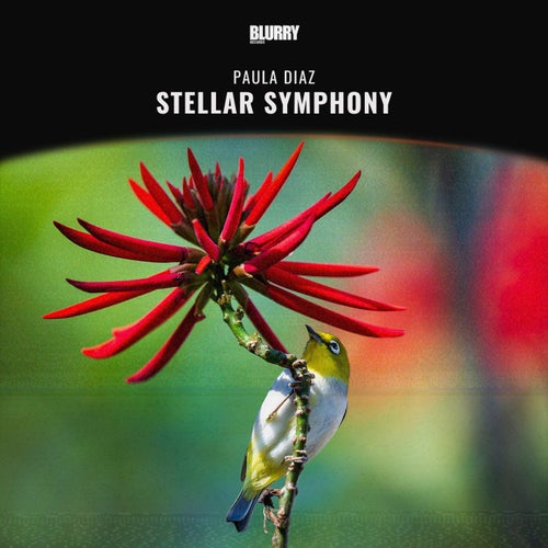 Stellar Symphony