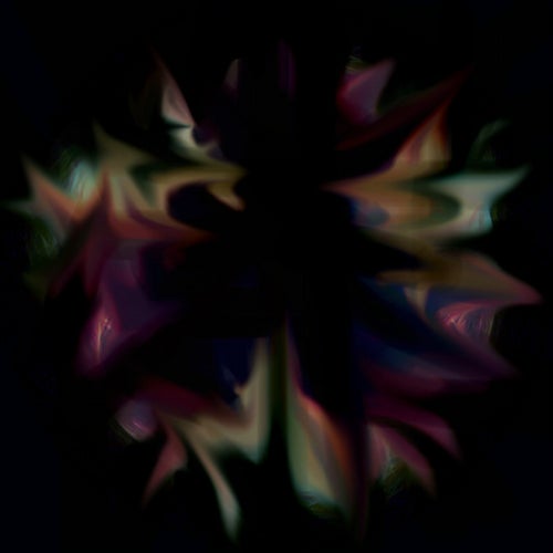 AMNIOTICAL EP