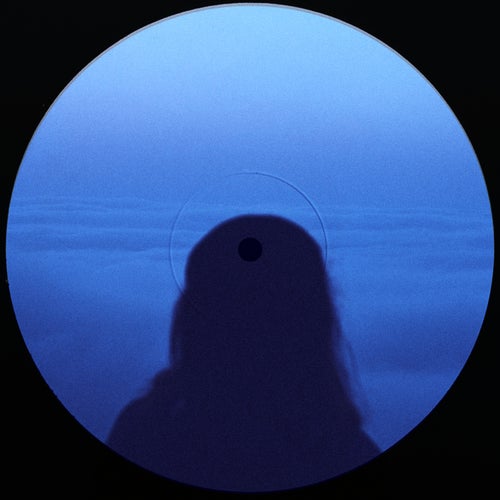 Blue Hours