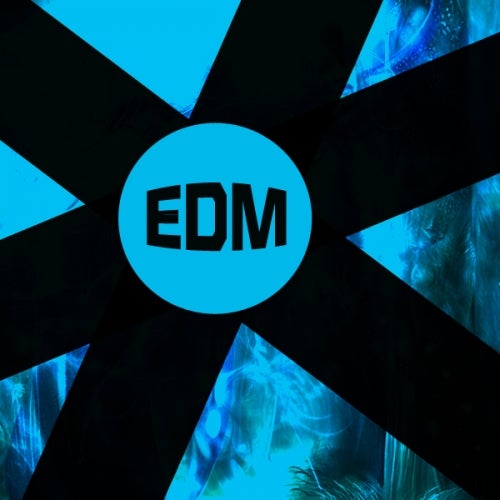 NEW EDM