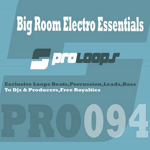 Big Room Electro Essentials DJ Tools