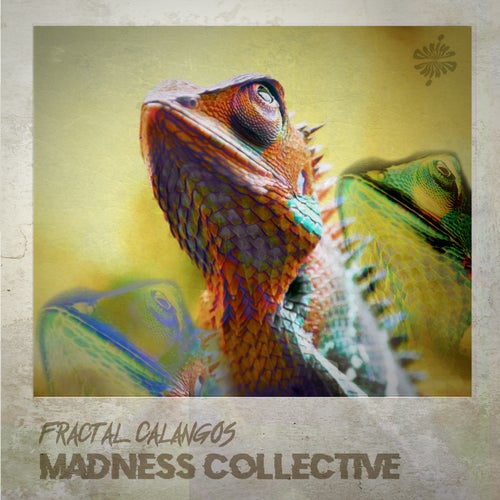 Madness Collective