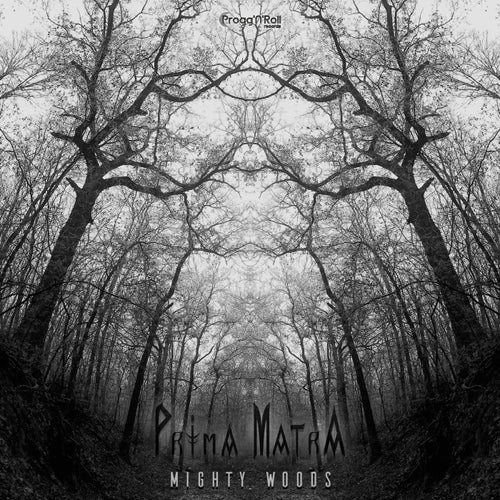 Mighty Woods