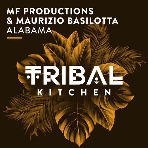 Maurizio Basilotta, MF Productions - Alabama (Original Mix).mp3