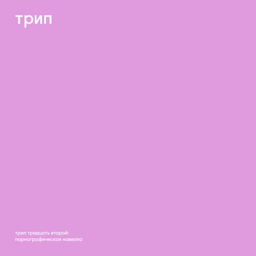 Cover art for Pornographic Novel