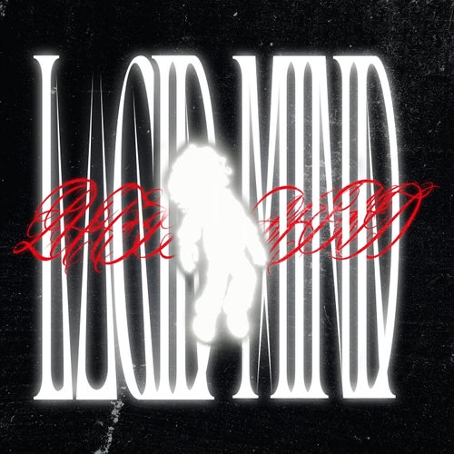 Lucid Mind