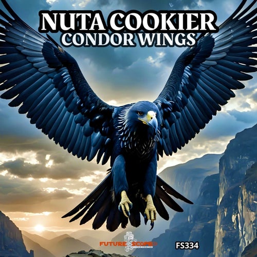 Condor Wings