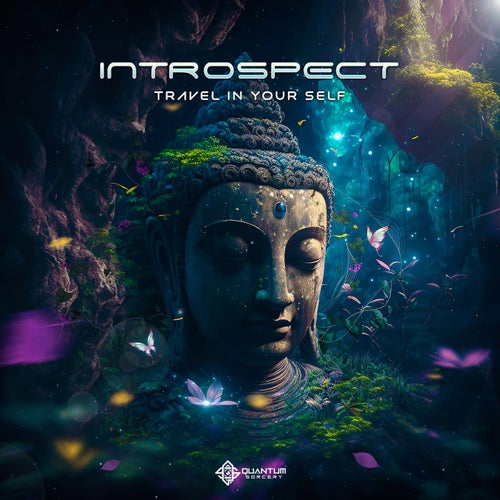  Introspect - Travel In Your Self (2023) 