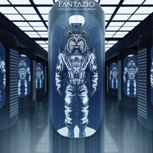 Cryogenic Chamber