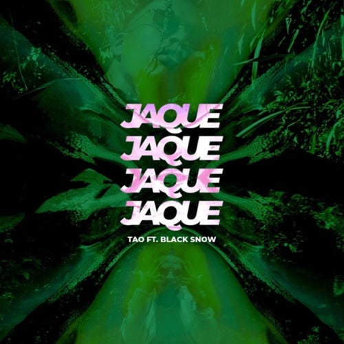 Jaque