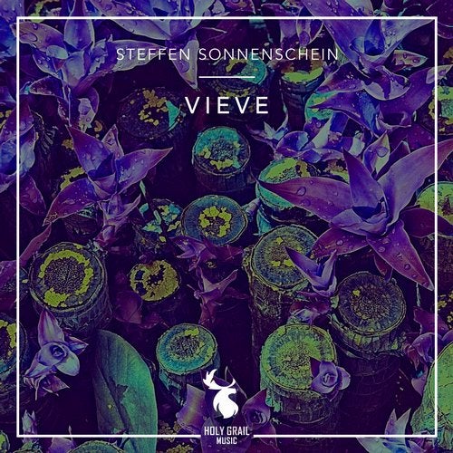 Cover art for Vieve