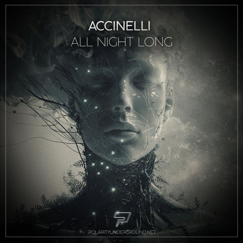 All Night Long
