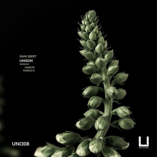 Unison