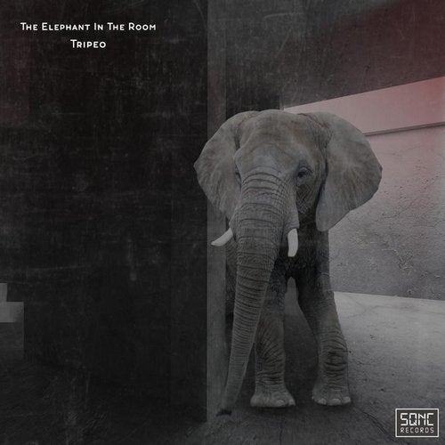 Capa de The Elephant in the Room