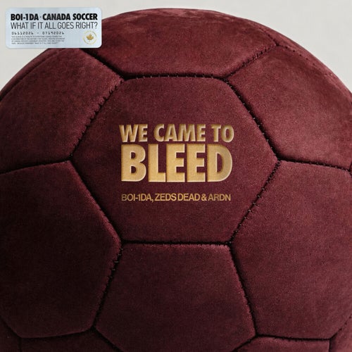 WE CAME TO BLEED