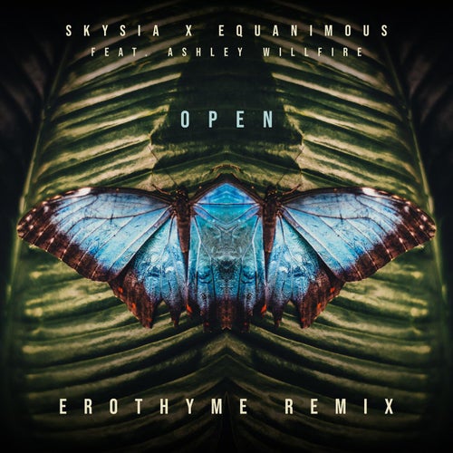 Open (feat. Ashley Willfire)