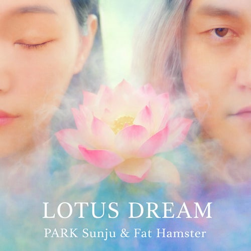 Lotus Dream