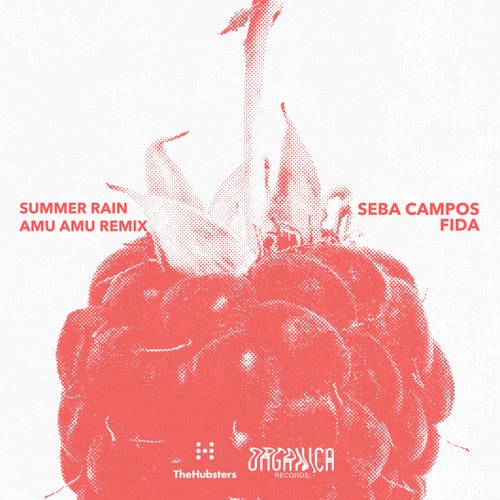 Summer Rain (AmuAmu Remix)