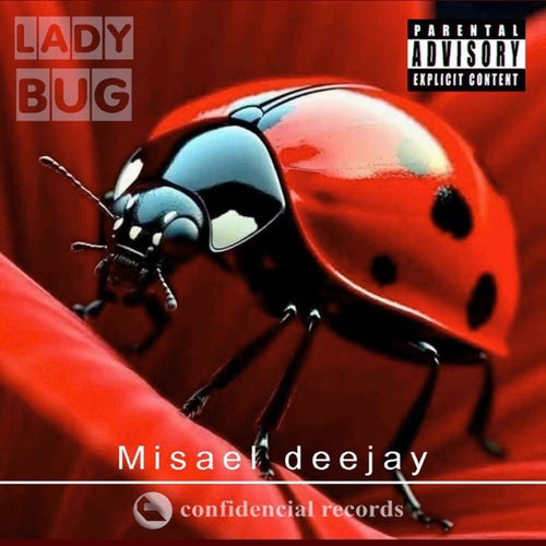 LADY BUG