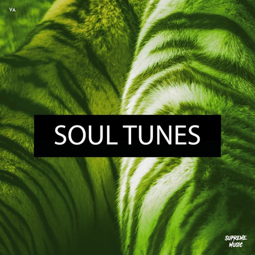 Soul Tunes