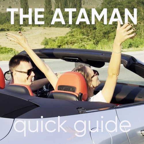 Quick Guide