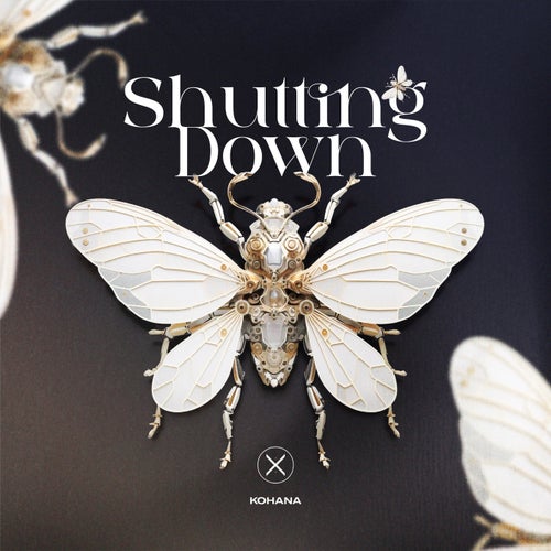 Shutting Down
