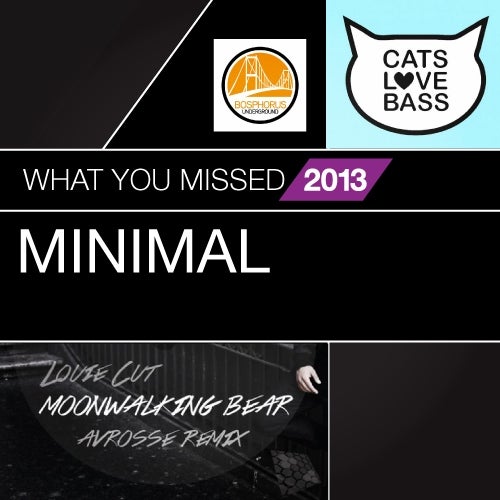 What You Missed In 2013: Minimal
