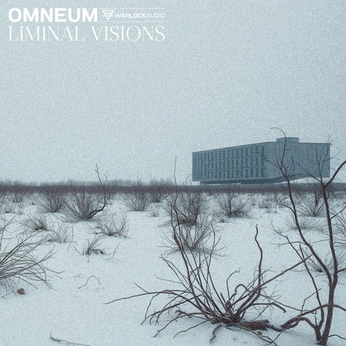 Liminal Visions