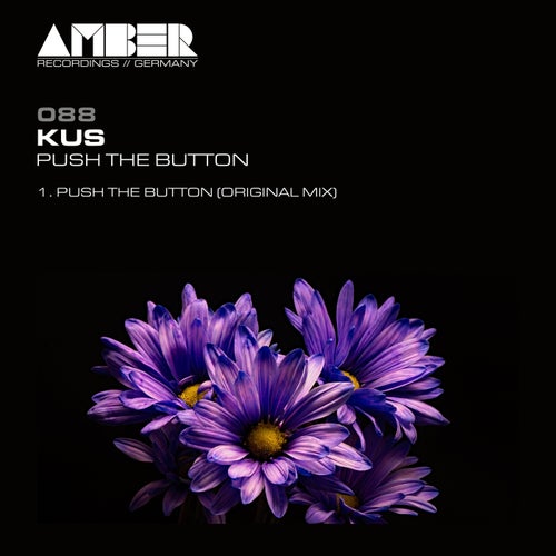 Cover art for Push the Button
