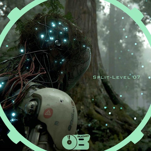 Split-Level 07