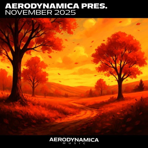 Aerodynamica pres. November 2025