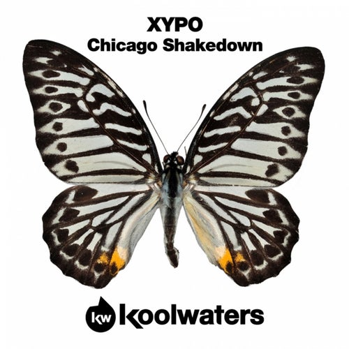 Chicago Shakedown