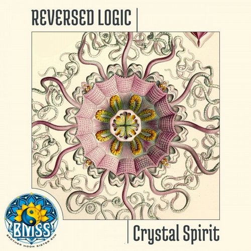 Cover art for Crystal Spirit