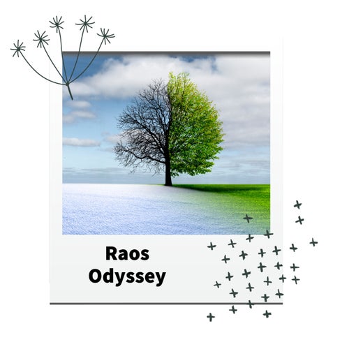 Odyssey