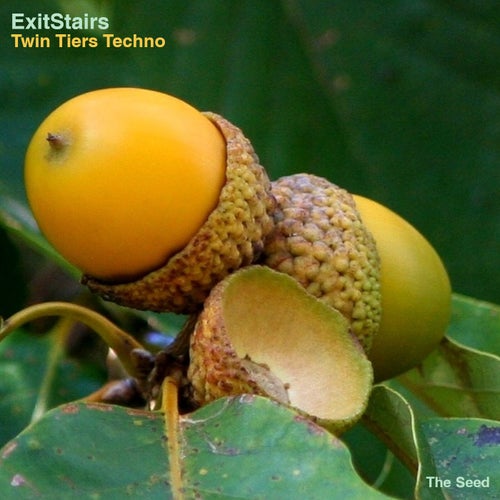 Cover art for Twin Tiers Techno