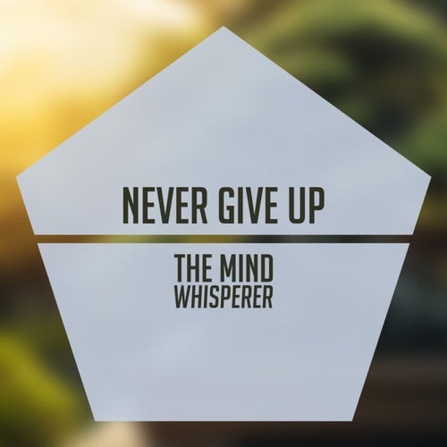 Never Give Up